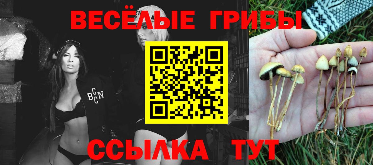 Галлюциногенные грибы мухоморы  Вход с VPN  Армавир 